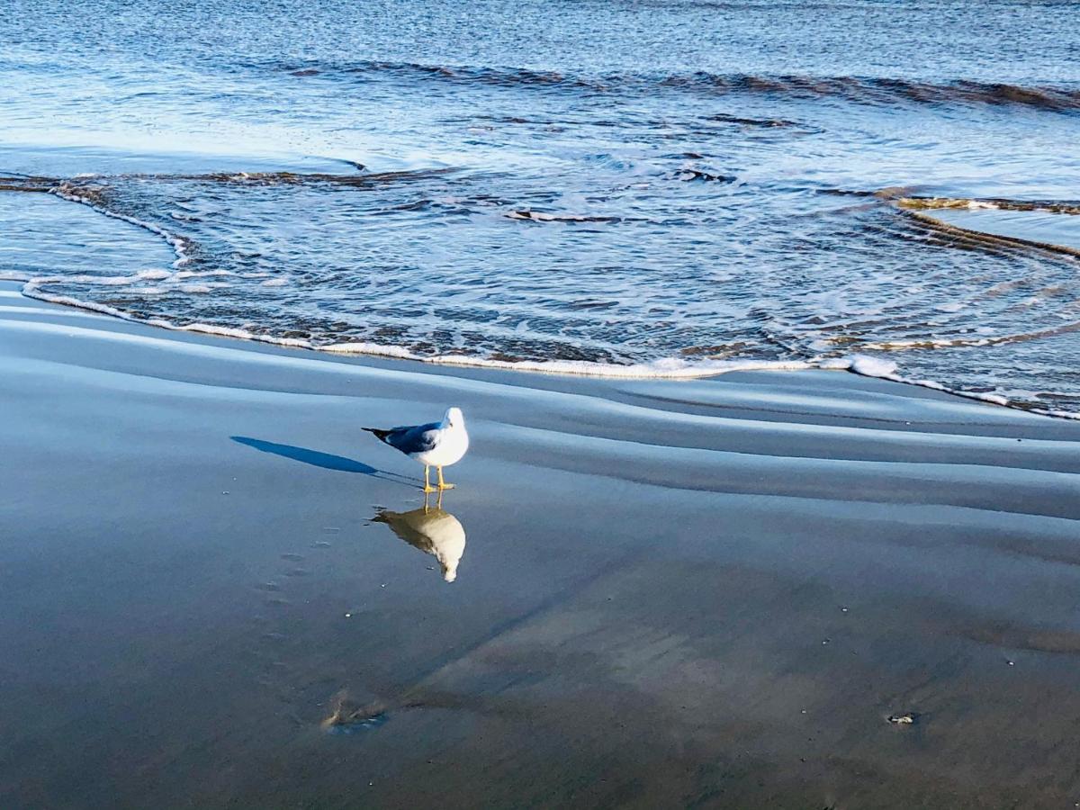 Salty Breeze At Demere Landing Unit 168 - Salt Air Dr Vila St. Simons Island Exterior foto